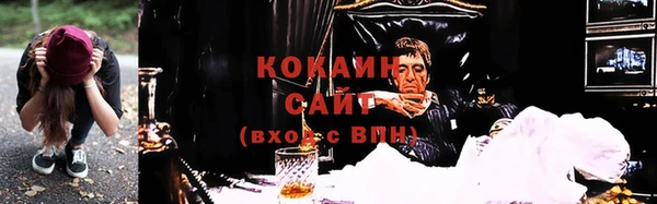 стафф Алзамай