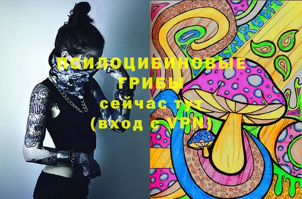 метадон Алексеевка