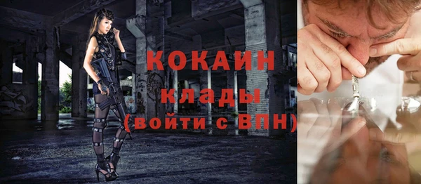 стафф Алзамай