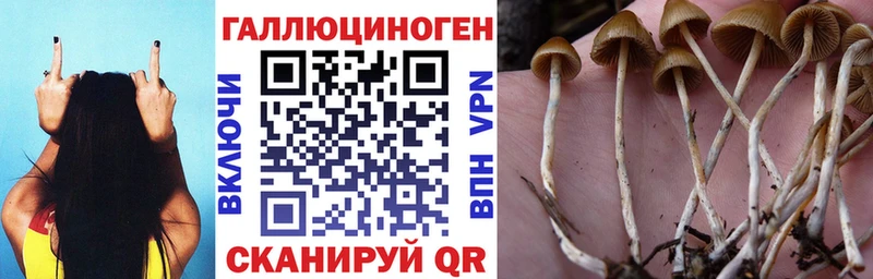 Галлюциногенные грибы мицелий  darknet как зайти  Арамиль 